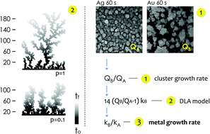 Graphical abstract: Relating the rate of growth of metal nanoparticles to cluster size distribution in electroless deposition