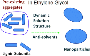 Graphical abstract: On the solution structure of kraft lignin in ethylene glycol and its implication for nanoparticle preparation