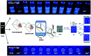 Graphical abstract: Nitrogen-doped carbon dots as fluorescence ON–OFF–ON sensor for parallel detection of copper(ii) and mercury(ii) ions in solutions as well as in filter paper-based microfluidic device