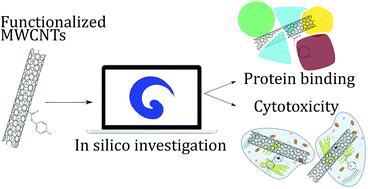 Graphical abstract: A safe-by-design tool for functionalised nanomaterials through the Enalos Nanoinformatics Cloud platform