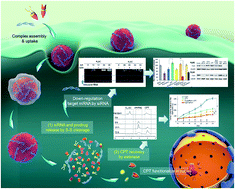 Graphical abstract: Multistage rocket: integrational design of a prodrug-based siRNA delivery system with sequential release for enhanced antitumor efficacy