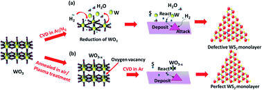Graphical abstract: Effects of precursor pre-treatment on the vapor deposition of WS2 monolayers