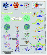 Graphical abstract: Advanced microscopic evaluation of parallel type I and type II cell deaths induced by multi-functionalized gold nanocages in breast cancer