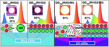 Graphical abstract: Configuration- and concentration-dependent hybrid white light generation using red, green, and blue quantum dots embedded in DNA thin films