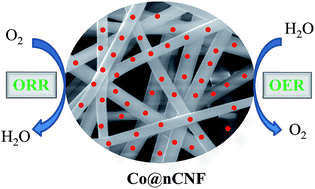 Graphical abstract: Atomic layer deposition of Co3O4 nanocrystals on N-doped electrospun carbon nanofibers for oxygen reduction and oxygen evolution reactions