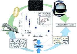 Graphical abstract: Optimized silk fibroin piezoresistive nanocomposites for pressure sensing applications based on natural polymers
