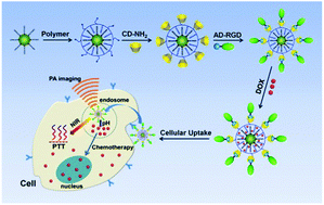 Graphical abstract: Highly monodisperse beta-cyclodextrin-covellite nanoparticles for efficient photothermal and chemotherapy