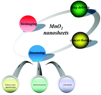 Graphical abstract: Recent advances in functionalized MnO2 nanosheets for biosensing and biomedicine applications