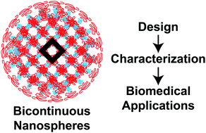 Graphical abstract: On the advancement of polymeric bicontinuous nanospheres toward biomedical applications