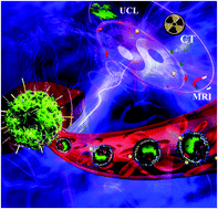 Graphical abstract: Engineering of Yin Yang-like nanocarriers for varisized guest delivery and synergistic eradication of patient-derived hepatocellular carcinoma