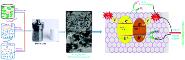 Graphical abstract: Improved visible light photocatalytic activity of rGO–Fe3O4–NiO hybrid nanocomposites synthesized by in situ facile method for industrial wastewater treatment applications