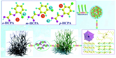 Graphical abstract: Facile microwave synthesis, structural diversity and herbicidal activity of six novel alkaline-earth metal complexes (AECs) based on skeletal isomerization chlorophenoxyacetic acids