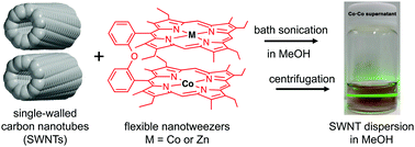 Graphical abstract: Synthesis of flexible nanotweezers with various metals and their application in carbon nanotube extraction