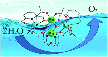 Graphical abstract: Two tetranuclear 3d–4f heterometal complexes Mn2Ln2 (Ln = Dy, Gd): synthesis, structure, magnetism, and electrocatalytic reactivity for water oxidation