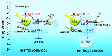 Graphical abstract: Effect of electron transfer on the photocatalytic hydrogen evolution efficiency of faceted TiO2/CdSe QDs under visible light