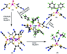 Graphical abstract: Synthesis and characterization of cyano and isocyano complexes of bis(dithiolato) molybdenum using Me3SiCN: a route to a cyanide-bridged multimer to a monomer
