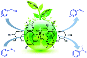 Graphical abstract: Nickel(ii) riboflavin complex as an efficient nanobiocatalyst for heterogeneous and sustainable oxidation of benzylic alcohols and sulfides