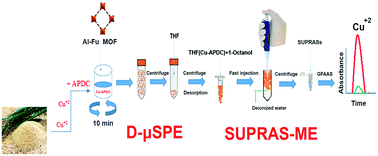 Graphical abstract: Metal–organic framework based micro solid phase extraction coupled with supramolecular solvent microextraction to determine copper in water and food samples