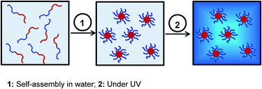 Graphical abstract: Photoluminescent polymeric micelles from poly(ethylene oxide)-block-poly(((4-vinylphenyl)ethene-1,1,2-triyl)tribenzene) diblock copolymers