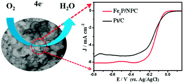 Graphical abstract: Efficient hierarchically synthesized Fe2P nanoparticles embedded in an N,P-doped mesoporous carbon catalyst for the oxygen reduction reaction