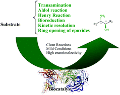 Graphical abstract: Biocatalytic approaches towards the stereoselective synthesis of vicinal amino alcohols