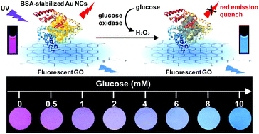 Graphical abstract: A ratiometric fluorescent paper sensor for consecutive color change-based visual determination of blood glucose in serum
