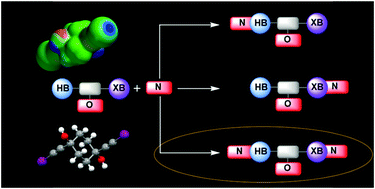 Graphical abstract: Competition between hydrogen bonds and halogen bonds: a structural study
