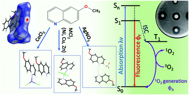 Graphical abstract: Crystal structure, physicochemical properties, Hirshfeld surface analysis and antibacterial activity assays of transition metal complexes of 6-methoxyquinoline