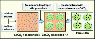 Graphical abstract: Preparation and characterization of mesoporous hydroxyapatite with non-cytotoxicity and heavy metal adsorption capacity