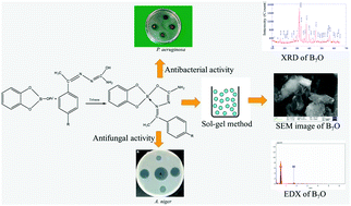 Graphical abstract: Some boron compounds of semicarbazones: antimicrobial activity and precursor for the sol–gel transformation to nanosized boron oxide
