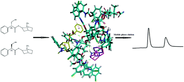 Graphical abstract: Enantiomeric separation and simulation study of eight anticholinergic drugs on an immobilized polysaccharide-based chiral stationary phase by HPLC