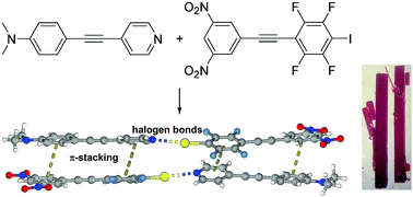 Graphical abstract: Cooperative halogen bonding and polarized π-stacking in the formation of coloured charge-transfer co-crystals