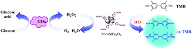 Graphical abstract: Enhanced peroxidase-like activity of porphyrin functionalized ZnFe2O4 hollow nanospheres for rapid detection of H2O2 and glucose