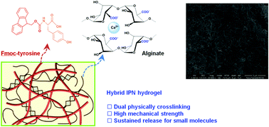 Graphical abstract: Incorporation of Fmoc-Y nanofibers into Ca-alginate hydrogels for improving their mechanical properties and the controlled release of small molecules