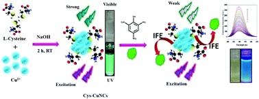 Graphical abstract: Inner filter effect based selective detection of picric acid in aqueous solution using green luminescent copper nanoclusters