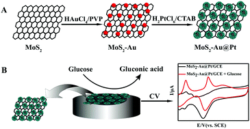 Graphical abstract: MoS2–Au@Pt nanohybrids as a sensing platform for electrochemical nonenzymatic glucose detection