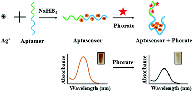 Graphical abstract: One-step, visual and sensitive detection of phorate in blood based on a DNA–AgNC aptasensor