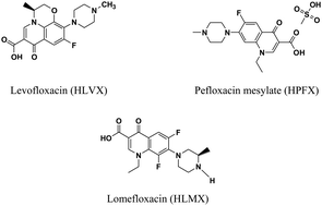 Graphical abstract: Synthesis and physicochemical characterizations of coordination between palladium(ii) metal ions with floroquinolone drugs as medicinal model against cancer cells: novel metallopharmaceuticals