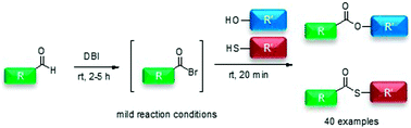 Graphical abstract: Aerobic oxidative esterification and thioesterification of aldehydes using dibromoisocyanuric acid under mild conditions: no metal catalysts required