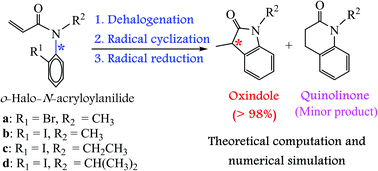 Graphical abstract: A combined density functional theory and numerical simulation investigation of levels of chirality transfer and regioselectivity for the radical cyclizations of N-methyl-, N-ethyl- and N-isopropyl-substituted ortho-halo-N-acryloylanilides