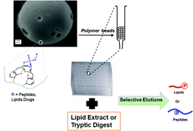 Graphical abstract: Mesoporous polymeric microspheres with high affinity for phosphorylated biomolecules