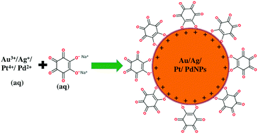 Graphical abstract: Green synthesis of gold, silver, platinum, and palladium nanoparticles reduced and stabilized by sodium rhodizonate and their catalytic reduction of 4-nitrophenol and methyl orange