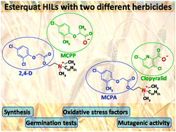 Graphical abstract: Esterquat herbicidal ionic liquids (HILs) with two different herbicides: evaluation of activity and phytotoxicity