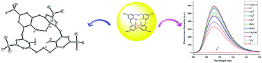 Graphical abstract: 2,3-Ethylene-bridged dihomooxacalix[4]arenes: synthesis, X-ray crystal structures and highly selective binding properties with anions