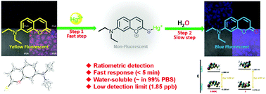 Graphical abstract: A thiocoumarin-based colorimetric and ratiometric fluorescent probe for Hg2+ in aqueous solution and its application in live-cell imaging