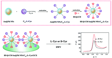 Graphical abstract: A new nanomatrix based on functionalized fullerene and porous bimetallic nanoparticles for electrochemical chiral sensing