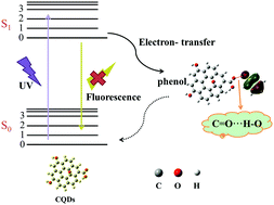 Graphical abstract: Novel carbon quantum dots for fluorescent detection of phenol and insights into the mechanism