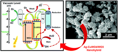Graphical abstract: Visible-enhanced photocatalytic performance of CuWO4/WO3 hetero-structures: incorporation of plasmonic Ag nanostructures