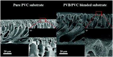 Graphical abstract: High-performance thin-film composite forward osmosis membrane fabricated on low-cost PVB/PVC substrate