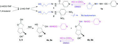 Graphical abstract: A long-range tautomeric effect on a new Schiff isoniazid analogue, evidenced by NMR study and X-ray crystallography